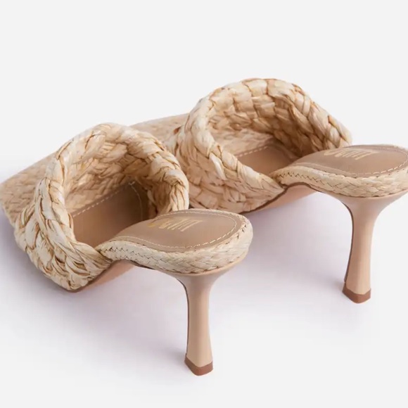 CYNOVIA! - Picture 5 of 7